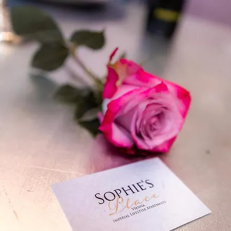Sophies Place Augarten - Imperial Lifestyle City Apartments Vienna Parking Esterno foto